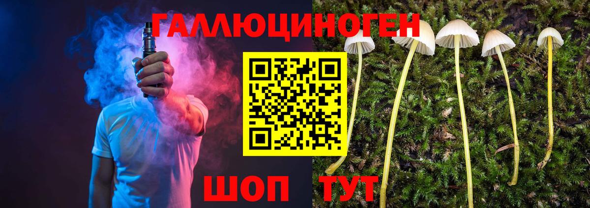 Галлюциногенные грибы Psilocybine cubensis Каменка