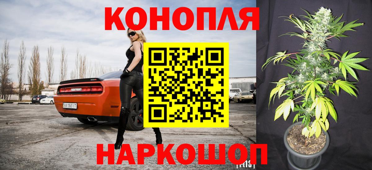 Каменка  Конопля конопля  Вход с VPN  Каннабис планчик  Шишки марихуана SATIVA & INDICA 